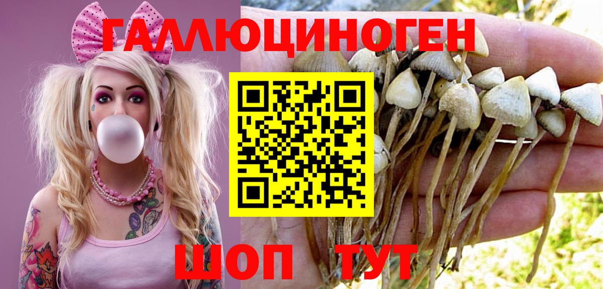 Галлюциногенные грибы мухоморы  Вход с VPN  Выборг  Галлюциногенные грибы Psilocybe 