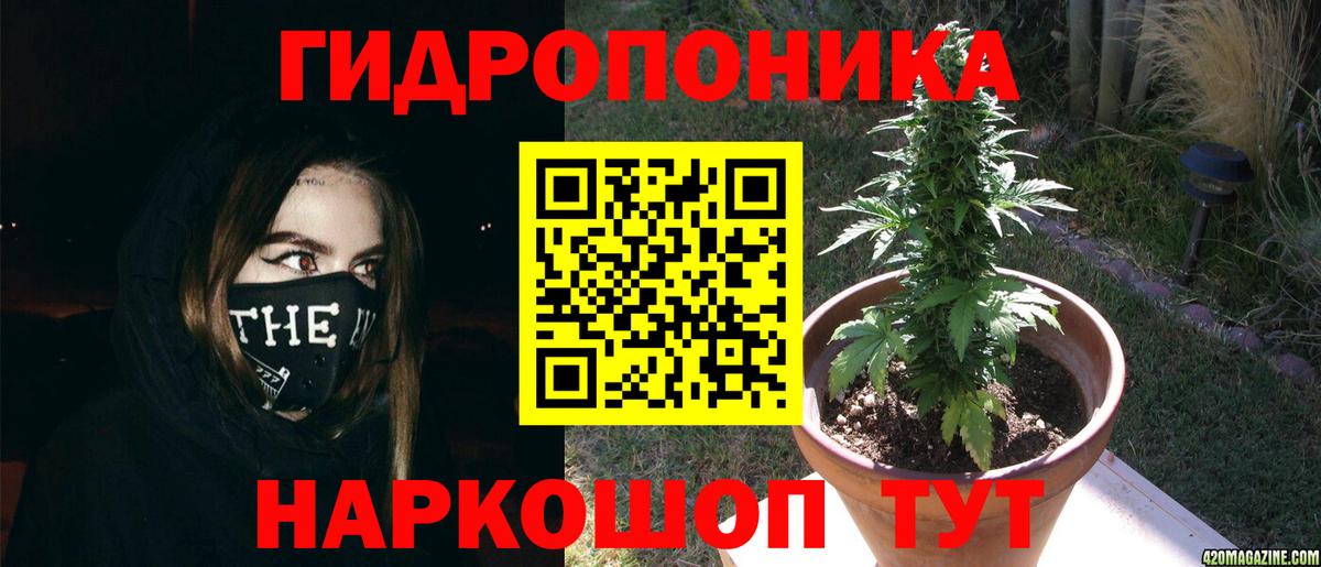 МАРИХУАНА семена  Марихуана семена  Выборг  Вход с VPN  МАРИХУАНА планчик 